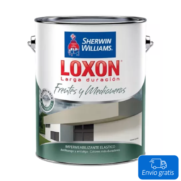 Loxon LD Frentes y Medianeras Blanco x 10 L